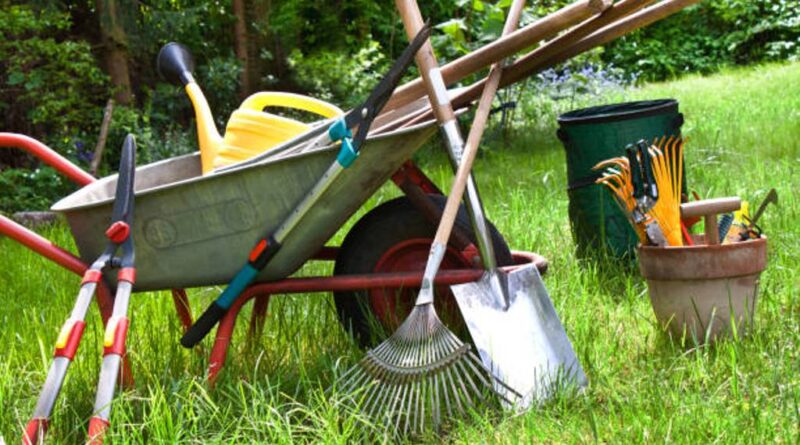 5 Ways to Save Money on Gardening Tools